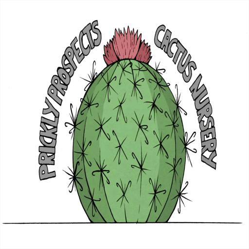 Prickly prospects